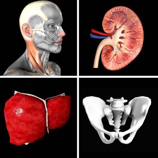 Anatomy Quiz Pro iOS App