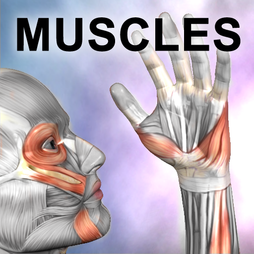 Learn Muscles Anatomy iOS App